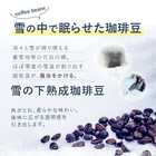 雪の下熟成珈琲 コールドブリュー 風花 深雪 1本 水出し リキッドコーヒー 500ml 