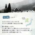 雪の下熟成珈琲 コールドブリュー 風花 深雪 1本 水出し リキッドコーヒー 500ml 