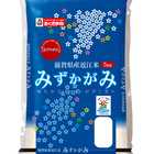 滋賀県産みずかがみ　５ｋｇ