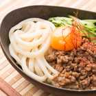 うどん 極太麺 讃岐うどん 6食 出汁セット