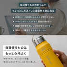 名入れ 持ち手付き ステンレススクリューボトル 530ml