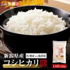 米 新潟県 魚沼産または佐渡産など コシヒカリ 1.5合(225g)