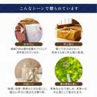 手延素麺揖保乃糸上級品・麺つゆ詰合せ 22束 