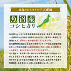 米 新潟県 魚沼産または佐渡産など コシヒカリ 1.5合(225g)×10袋セット