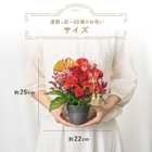 【送料無料】祝！還暦「紅」60歳S