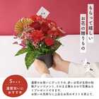【送料無料】祝！還暦「紅」60歳S