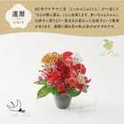 【送料無料】祝！還暦「紅」60歳S