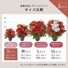 【送料無料】祝！還暦「紅」60歳S