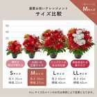 【送料無料】祝！還暦 M 〜紅〜｜60歳のお祝い