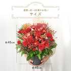 【送料無料】祝！還暦「紅」60歳L
