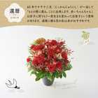 【送料無料】祝！還暦「紅」60歳L