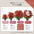 【送料無料】祝！還暦「紅」60歳L