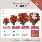【送料無料】祝！還暦「紅」60歳LL〜オーキッド〜