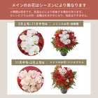 【送料無料】祝！還暦「紅」60歳LL〜オーキッド〜