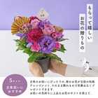 【送料無料】祝！古希「紫」70歳S