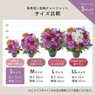 【送料無料】祝！古希「紫」70歳S