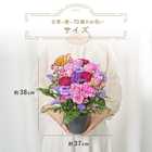 【送料無料】祝！古希 M 〜紫〜｜70歳のお祝い