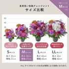 【送料無料】祝！古希 M 〜紫〜｜70歳のお祝い