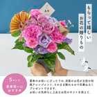 【送料無料】祝！喜寿「淡紫」77歳S