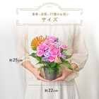 【送料無料】祝！喜寿「淡紫」77歳S