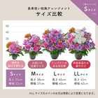 【送料無料】祝！喜寿「淡紫」77歳S