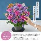 【送料無料】祝！喜寿「淡紫」77歳L