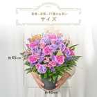 【送料無料】祝！喜寿「淡紫」77歳L