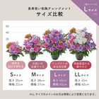 【送料無料】祝！喜寿「淡紫」77歳L