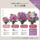 【送料無料】祝！喜寿「淡紫」77歳LL〜オーキッド〜
