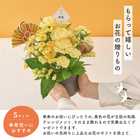 【送料無料】祝！傘寿「黄」80歳S