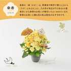【送料無料】祝！傘寿「黄」80歳S