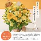 【送料無料】祝！傘寿 M 〜黄〜｜80歳のお祝い