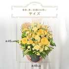 【送料無料】祝！傘寿「黄」80歳L