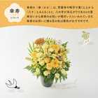 【送料無料】祝！傘寿「黄」80歳L