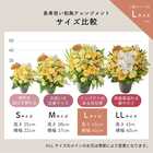 【送料無料】祝！傘寿「黄」80歳L