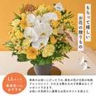 【送料無料】祝！傘寿「黄」80歳LL〜オーキッド〜