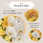 【送料無料】祝！傘寿「黄」80歳LL〜オーキッド〜