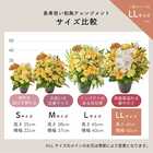 【送料無料】祝！傘寿「黄」80歳LL〜オーキッド〜