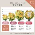 【送料無料】祝！米寿「黄」88歳S