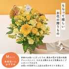 【送料無料】祝！米寿 M 〜黄〜｜88歳のお祝い