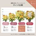 【送料無料】祝！米寿「黄」88歳L