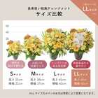 【送料無料】祝！米寿「黄」88歳LL〜オーキッド〜