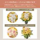 【送料無料】祝！米寿「黄」88歳LL〜オーキッド〜