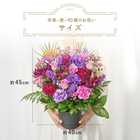 【送料無料】祝！卒寿「紫」90歳L