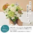 【送料無料】祝！白寿「白」99歳S