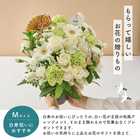 【送料無料】祝！白寿 M 〜白〜｜99歳のお祝い