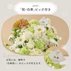 【送料無料】祝！白寿 M 〜白〜｜99歳のお祝い