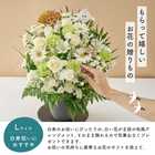【送料無料】祝！白寿「白」99歳L