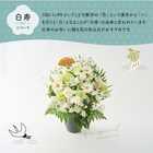 【送料無料】祝！白寿「白」99歳L