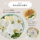 【送料無料】祝！白寿「白」99歳LL〜オーキッド〜